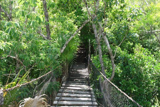 Zoológico de Crococun